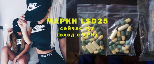 гидропоника Каменка