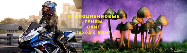 jwh Каменногорск