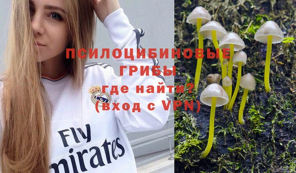 гидропоника Каменка