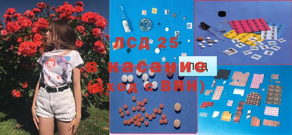 хмурый Касимов