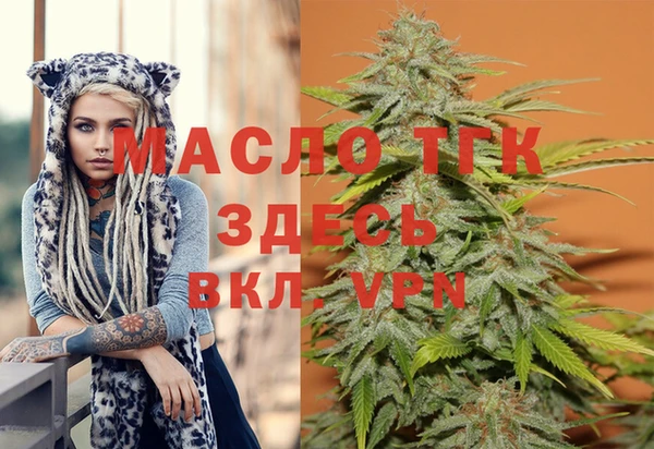 хмурый Касимов