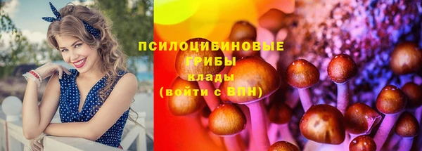jwh Каменногорск