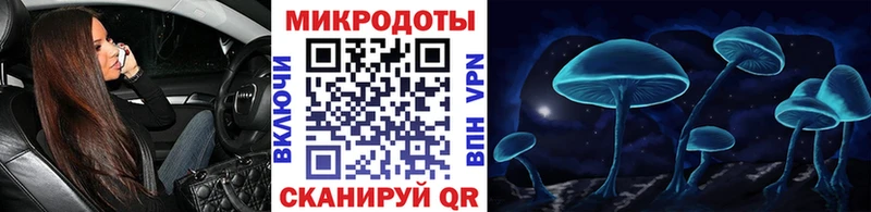 Купить  Сусуман  Галлюциногенные грибы мицелий 